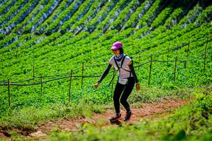 BIB: 
                            <button type="button" onclick="openModal(19163709)" class="btn btn-primary btn-sm float-right btn-popup" data-toggle="modal" data-target=".modal-high-quality">
                        <i class="fas fa-shopping-cart"></i> Add to Cart
                    </button>
                                            <button type="button" onclick="isThisMe(19163709, true)" class="btn btn-success btn-sm float-right btn-popup btn-isme hidden" data-toggle="tooltip" data-placement="bottom" title="นี่คือรูปของคุณใช่ไหม คลิกที่นี่เพื่อเอาเข้าอัลบั้ม">
                        <i class="fas fa-plus"></i> Add to album
                    </button>
                    <button type="button" onclick="isThisMe(19163709, false)" class="btn btn-warning btn-sm float-right btn-popup btn-isnotme hidden">
                        <i class="fas fa-ban"></i> Remove from album
                    </button>